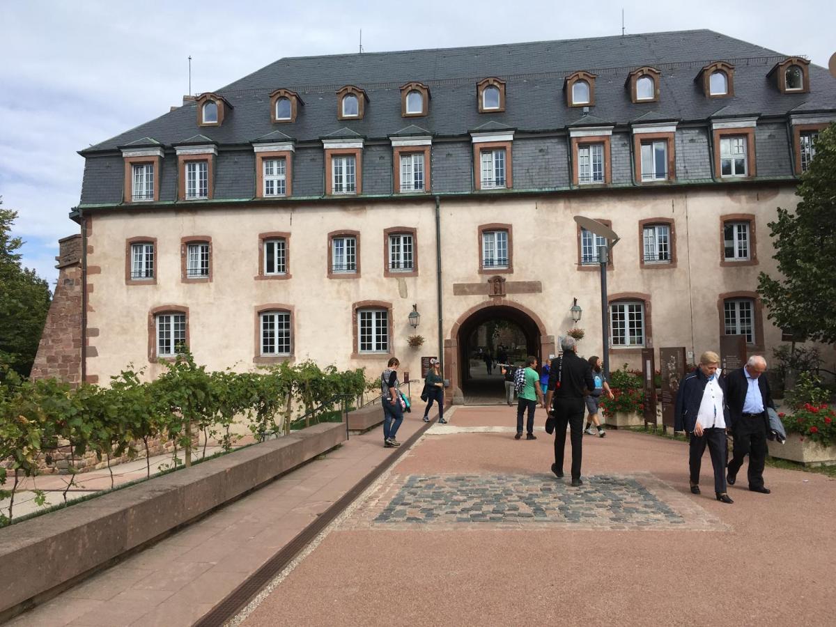 Maison Independante De Montagne En Alsace Bellefosse 外观 照片