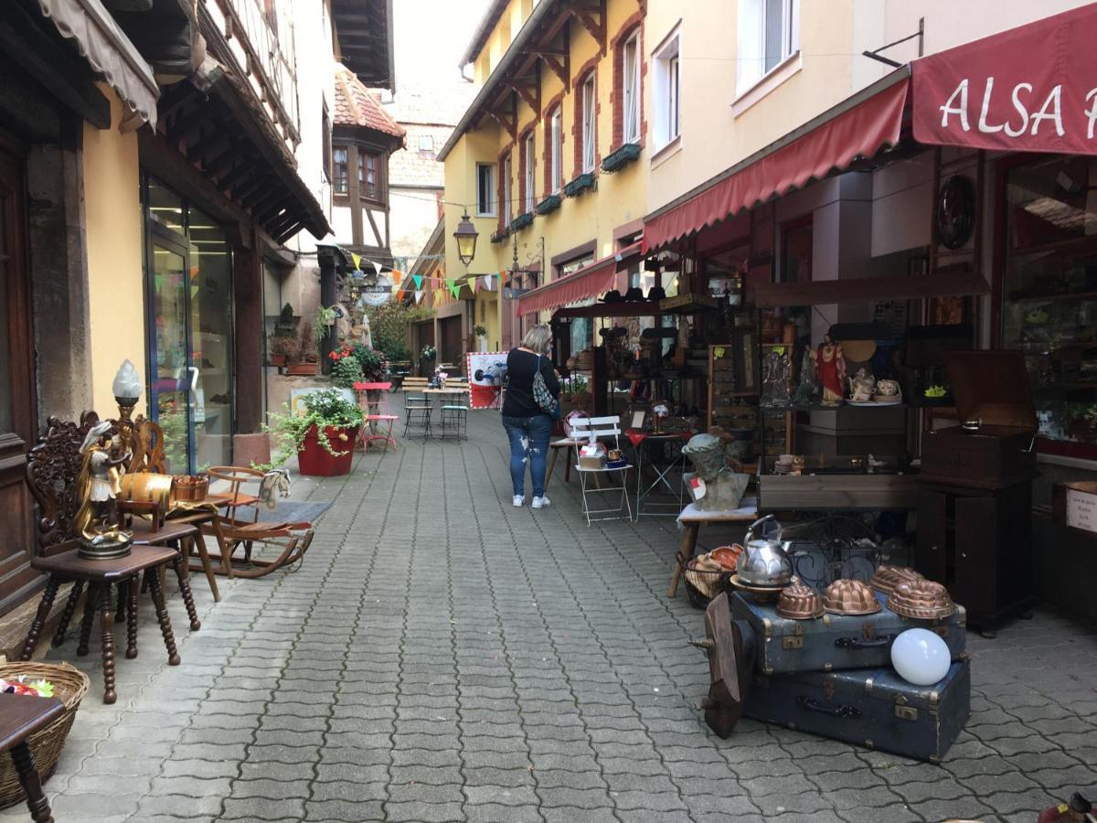 Maison Independante De Montagne En Alsace Bellefosse 外观 照片