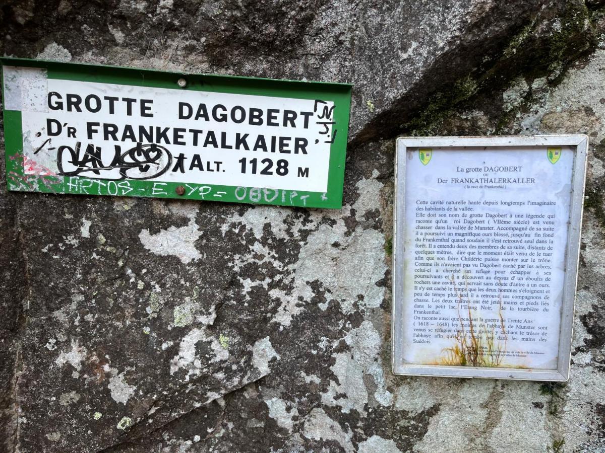 Maison Independante De Montagne En Alsace Bellefosse 外观 照片