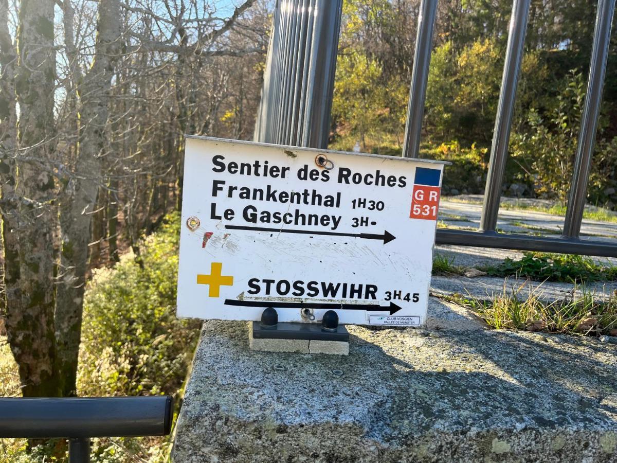 Maison Independante De Montagne En Alsace Bellefosse 外观 照片