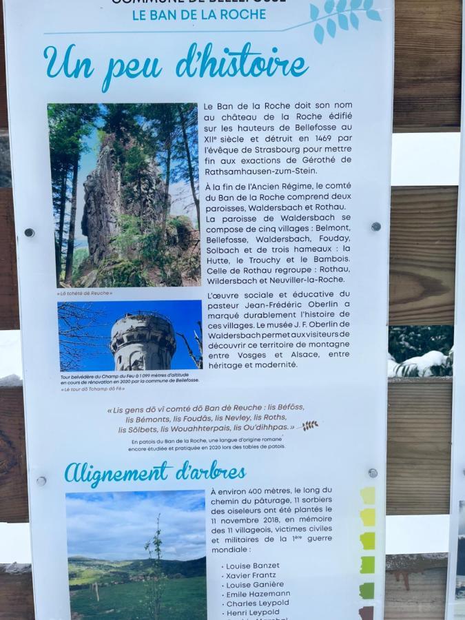 Maison Independante De Montagne En Alsace Bellefosse 外观 照片