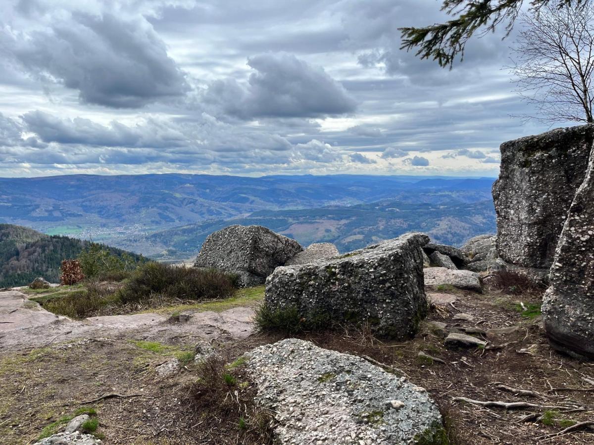 Maison Independante De Montagne En Alsace Bellefosse 外观 照片