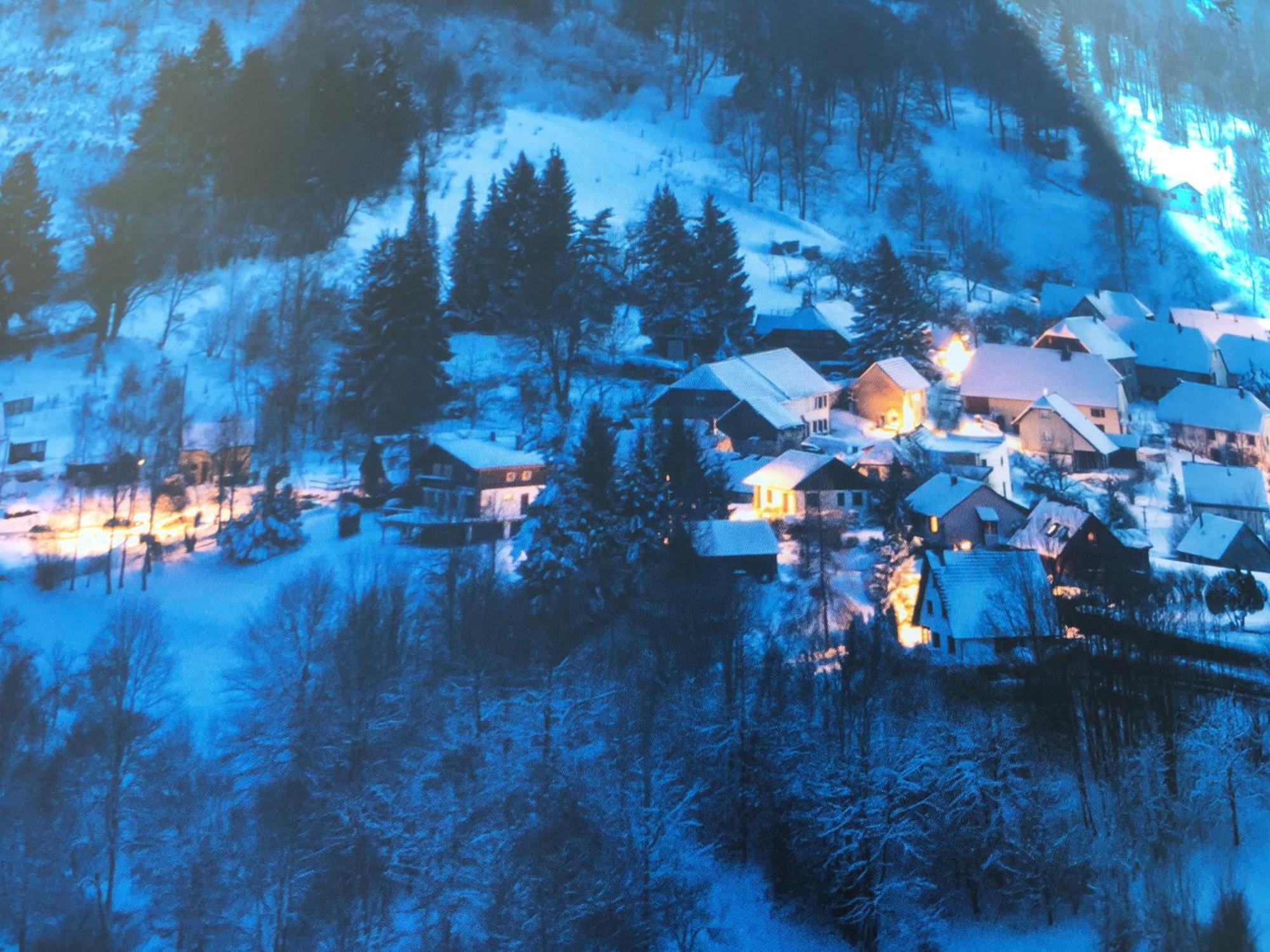Maison Independante De Montagne En Alsace Bellefosse 外观 照片