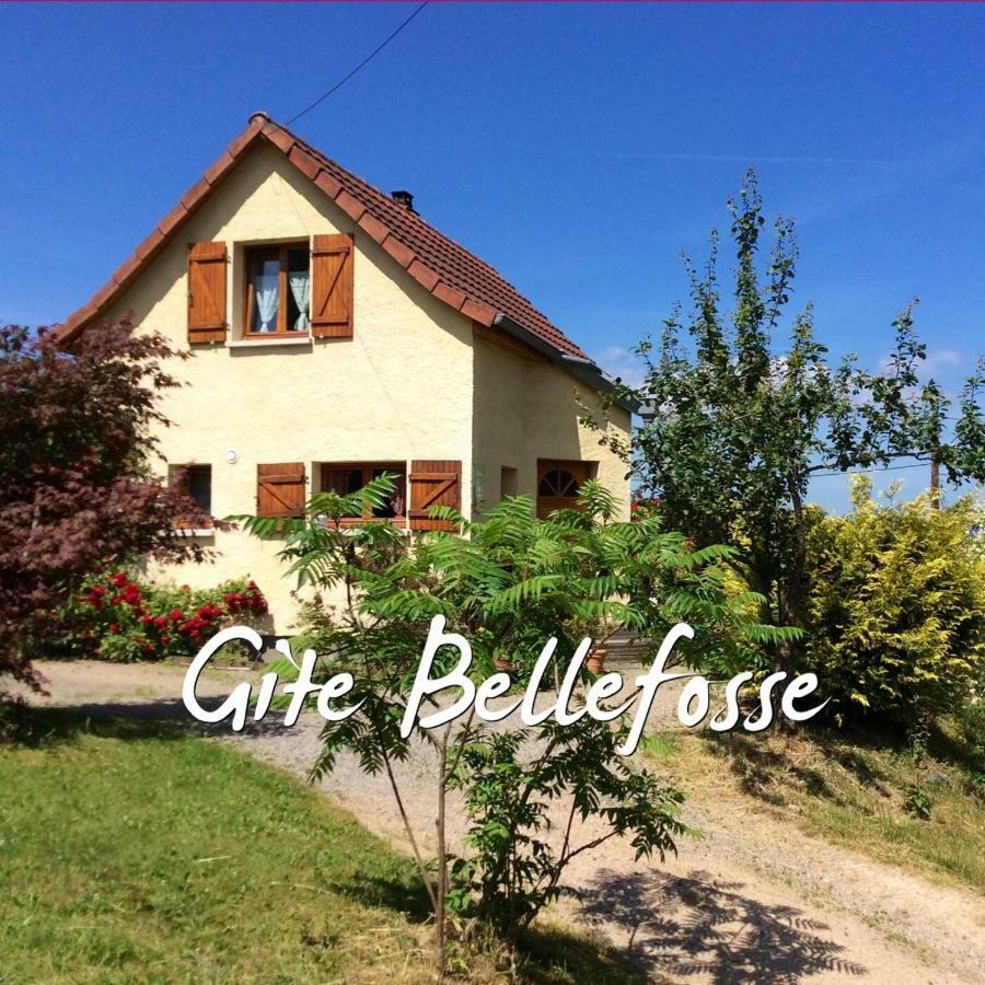 Maison Independante De Montagne En Alsace Bellefosse 外观 照片