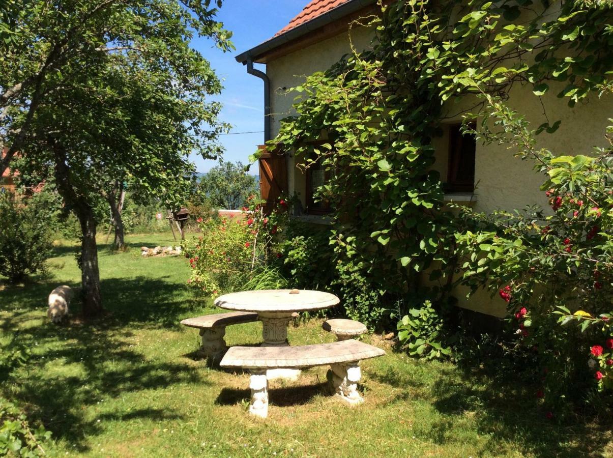 Maison Independante De Montagne En Alsace Bellefosse 外观 照片