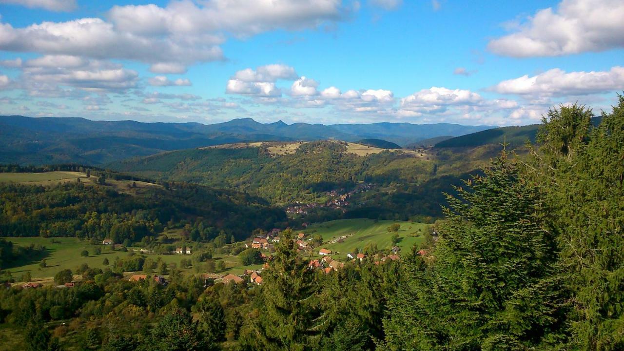 Maison Independante De Montagne En Alsace Bellefosse 外观 照片