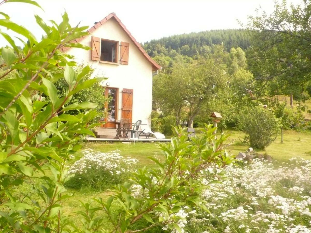 Maison Independante De Montagne En Alsace Bellefosse 外观 照片