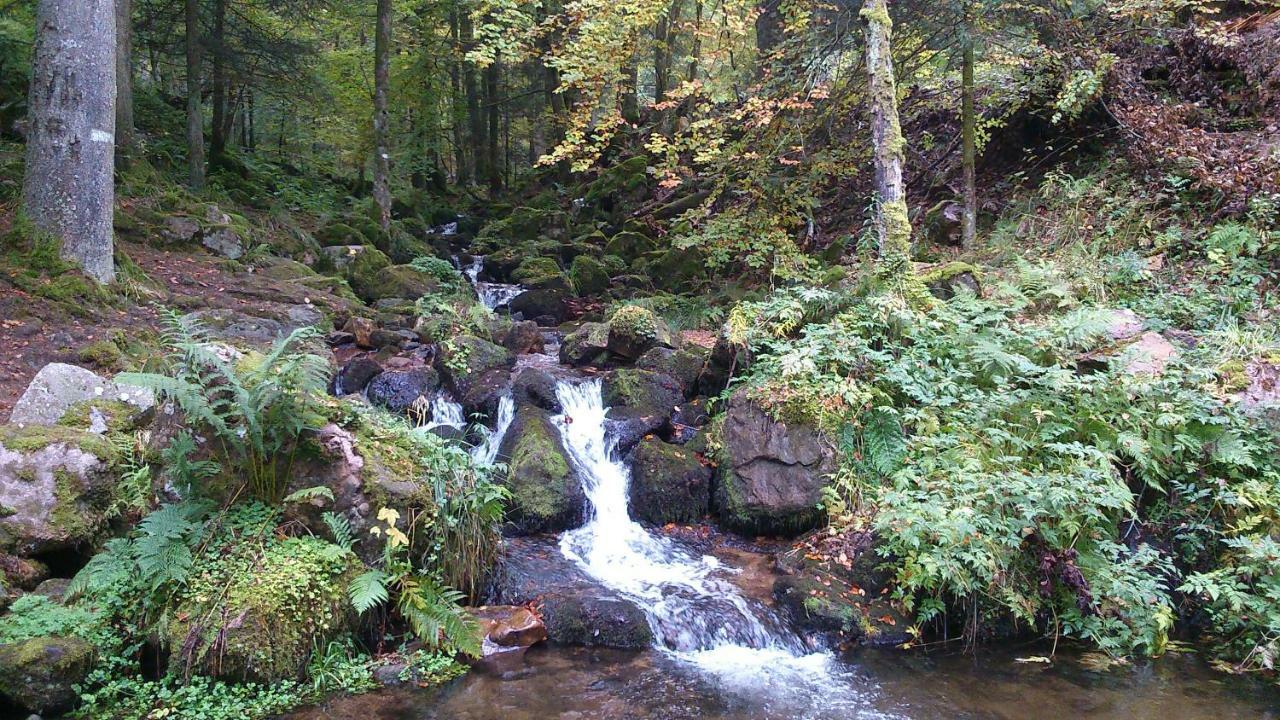 Maison Independante De Montagne En Alsace Bellefosse 外观 照片