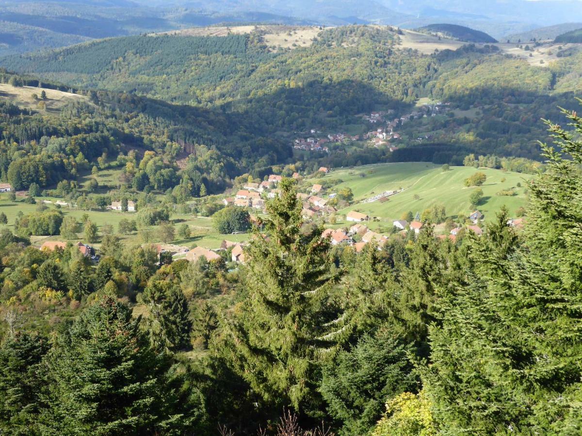 Maison Independante De Montagne En Alsace Bellefosse 外观 照片