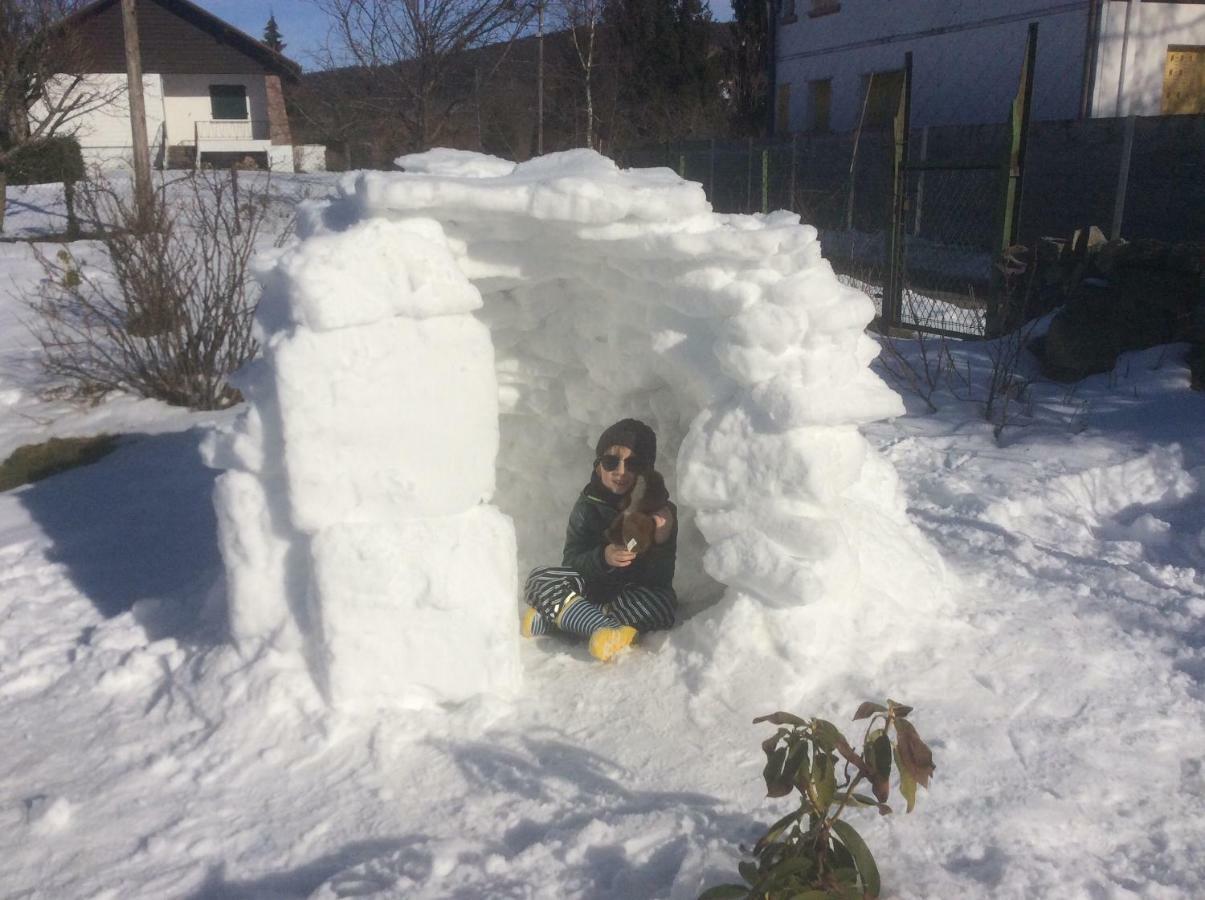 Maison Independante De Montagne En Alsace Bellefosse 外观 照片